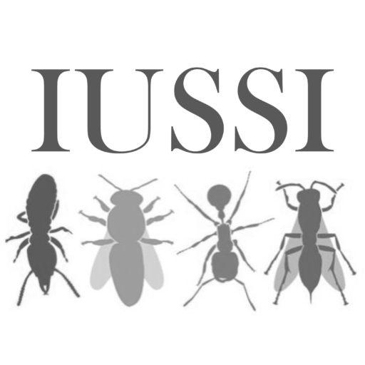 IUSSI-NAS